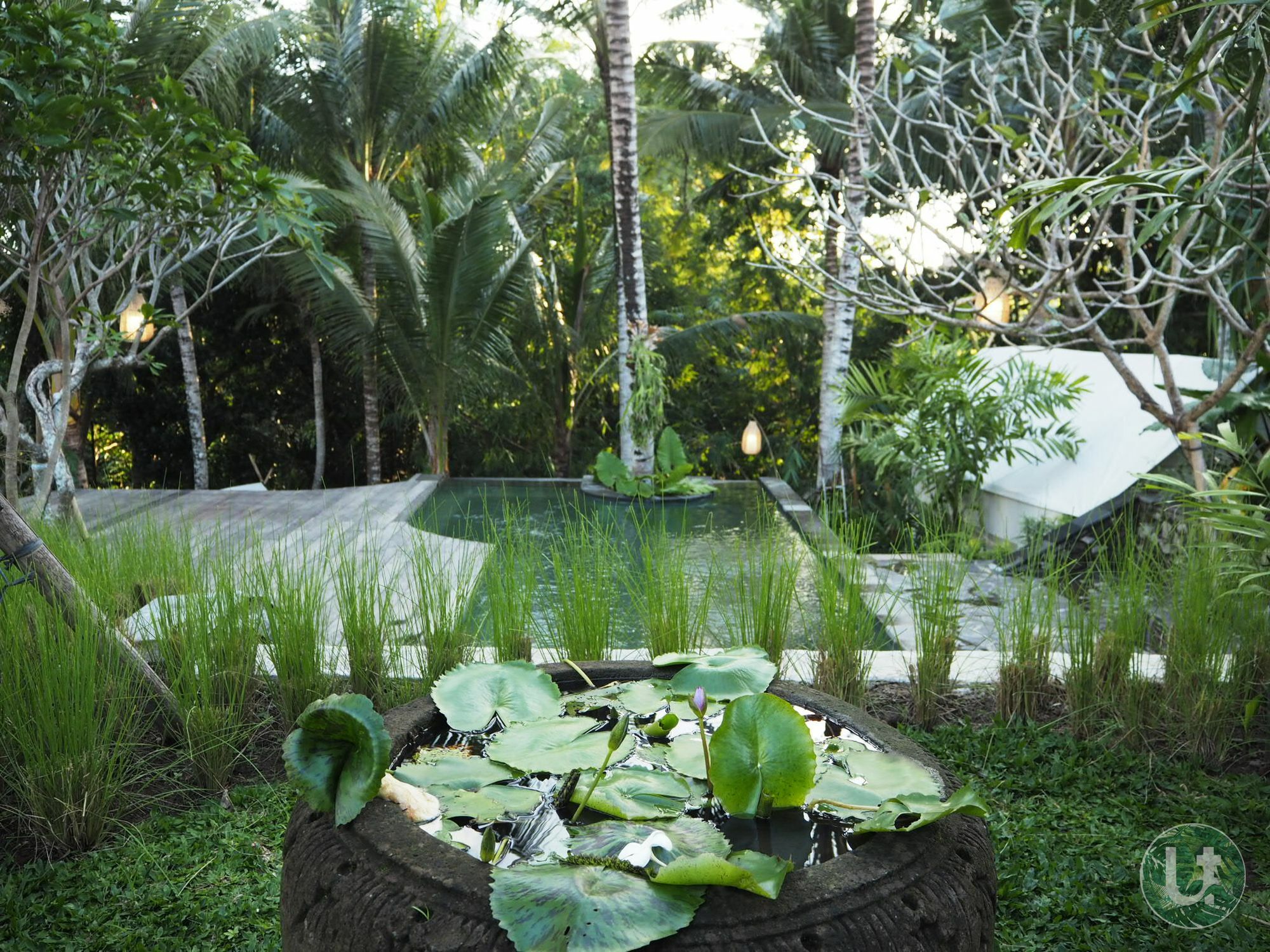 Ubud Tropical Eksteriør billede