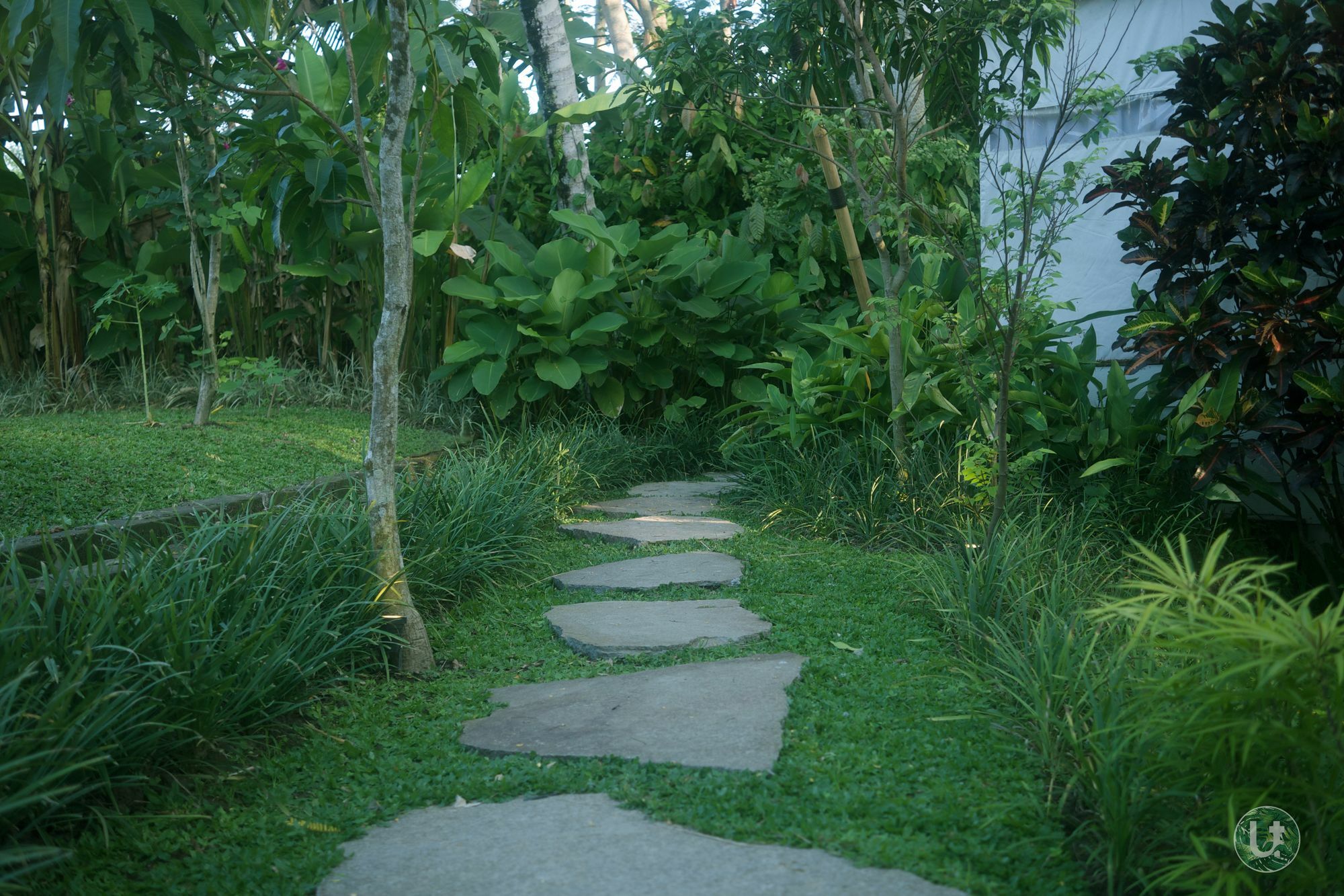 Ubud Tropical Eksteriør billede