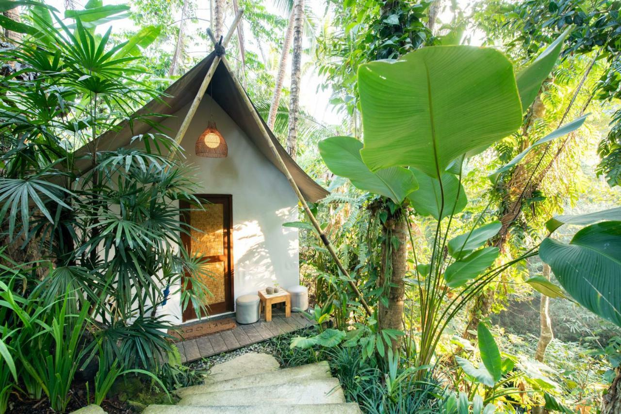 Ubud Tropical Eksteriør billede